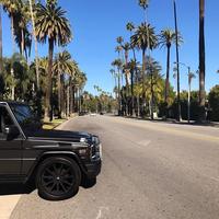 Отзыв от Тимур - виза ДТВ